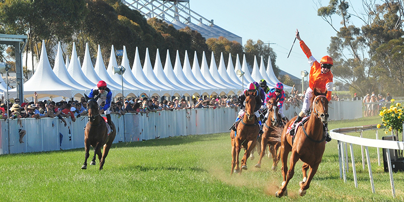 Elders Mt Wycheproof Cup
