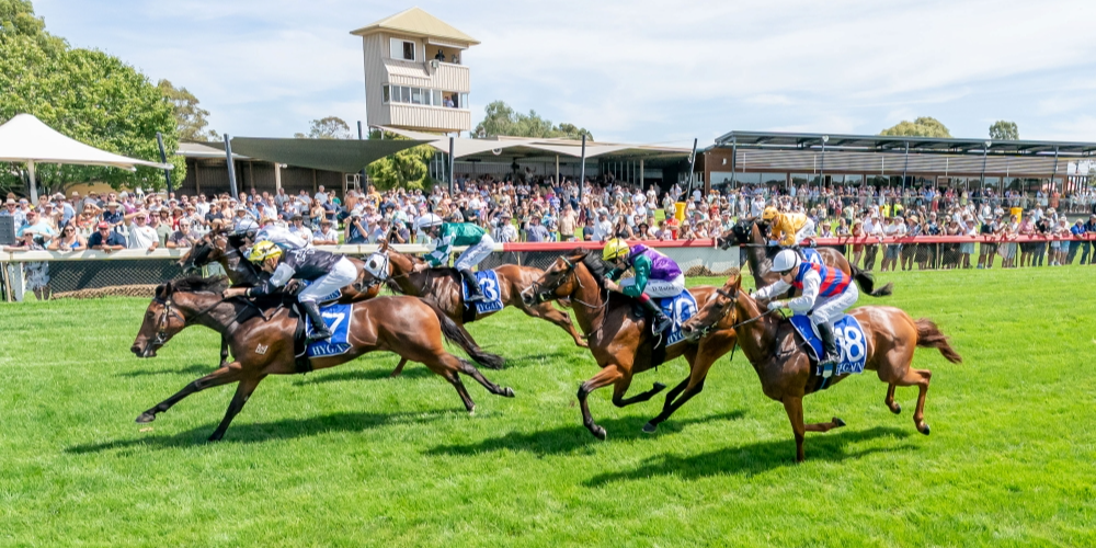Dunkeld Cup