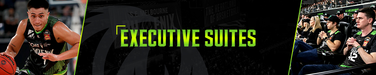 Phoenix Nest Page Banner 2