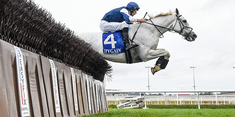 Ecycle Solutions Super Jumps Race Day Tile Image