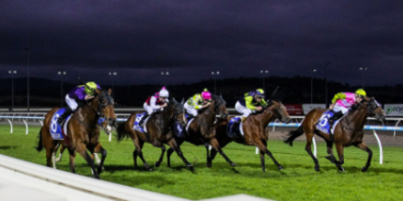 Sportsbet Night Racing Series Tile Image